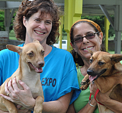 Volunteers Julie Case (left) and Lucille Savarino with AWC puppies Nate and Drew, who are up for adoption. Volunteers Julie Case (left) and Lucille Savarino with AWC puppies Nate and Drew, who are up for adoption.