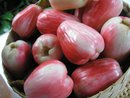 Pomme au Rac. Pomme au Rac.