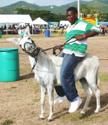 Franco Alvarez tries to persuade his unwilling steed to turn around and run in the correct direction.