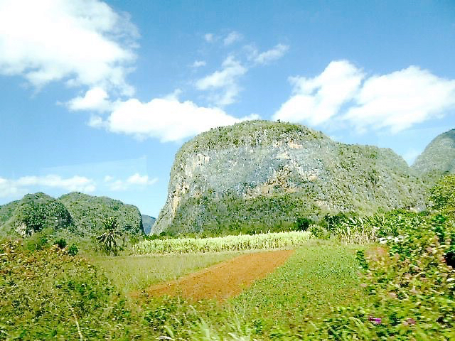 The colorful Vinales Valley, which aritst Pelegrino calls home.