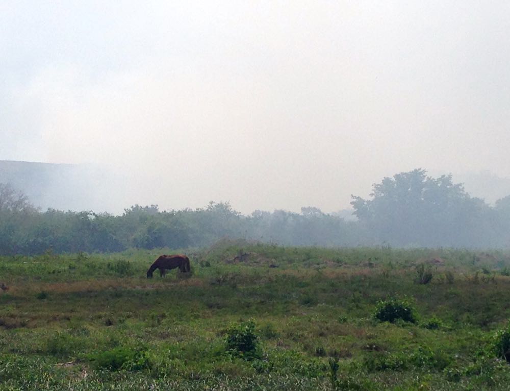 Smoke from Anguilla Landfill fire fills nearby fields