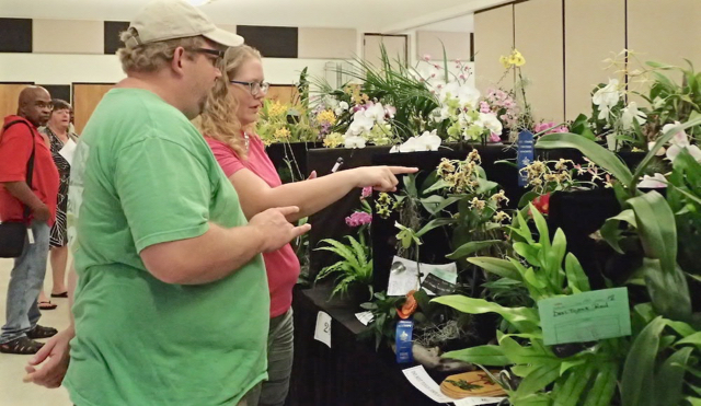 St. Croix residents Amanda and John Foltz discuss the flowers on display at the St. Croix Orchid Society&rsquo;s annual show at the University of the Virgin Islands.