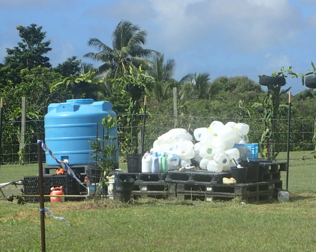 Before Stafford Crossman installed his drip irrigation system,  his water delivery system involved many, many buckets.