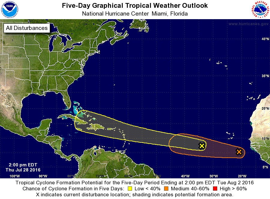  Tropical Wave 