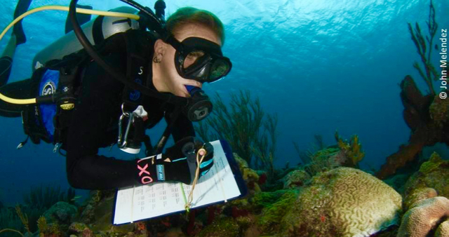 Lisa Terry surveys a reef. (Photo by John Melendez)
