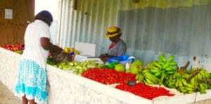 Local produce at Jackson Farm Stand on St. Croix (Bill Kossler photo)