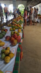 Mangos at Mango Melee 2017