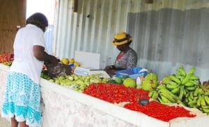 Fresh local produce is sold at the Jackson Farm stand on St. Croix (Bill Kossler photo)