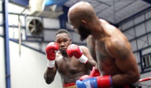 Laurent prepares backs Carter into a corner before unloading another series of combinations to the body. (Photo by Max Schanfarber)