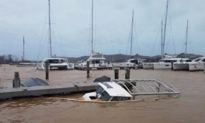 Vessel sunk in marina after Hurricane Maria (Adrien Austin photo)