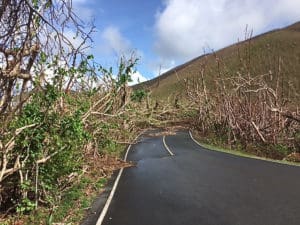 Crews have cleared the Major Bay Road.