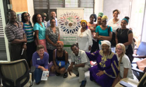 VICCC Executive Director Chenzira Davis-Kahina (seated, in purple) with UVI faculty and others at Thursday's commemoration of the VICCC's first five years. (Image provided by VICC Executive Director Chenzira Kahina)