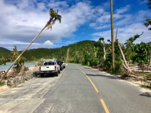Northshore Road, after being cleared in October.