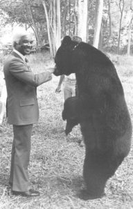 Gov. Cyril King meets the bear from the filming of 'The Island of Dr. Moreau.' (Photo from Department of Tourism)