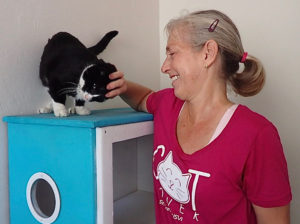 Therese Donarski of the St. Croix Animal Welfare Center plays with Debo, the first cat up for adoption at the Pet Place.