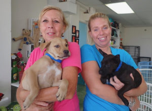 Animal Welfare Center adoption coordinators Louise Foss and Alison Sobeck show off puppies available for adoption at the Pet Place.