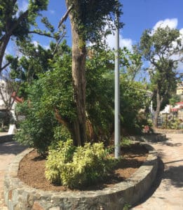 Planters in Cruz Bay’s Franklin A. Powell, Sr. Park on St. John were filled with mulch created from hurricane vegetative debris.