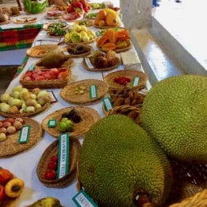 The varieties of mangos on display at Mango Melee 2017 and in the past will not be part of this year's event because of the damage to so many trees from Hurricanes Irma and Maria. (Anne Salafia photo)