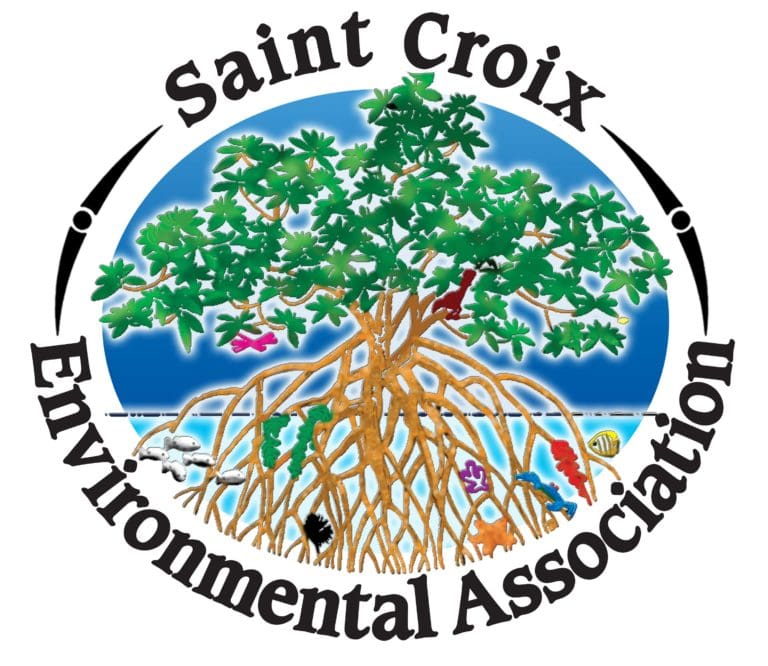 Public Can Now Bid on SEA’s Holiday Auction Items