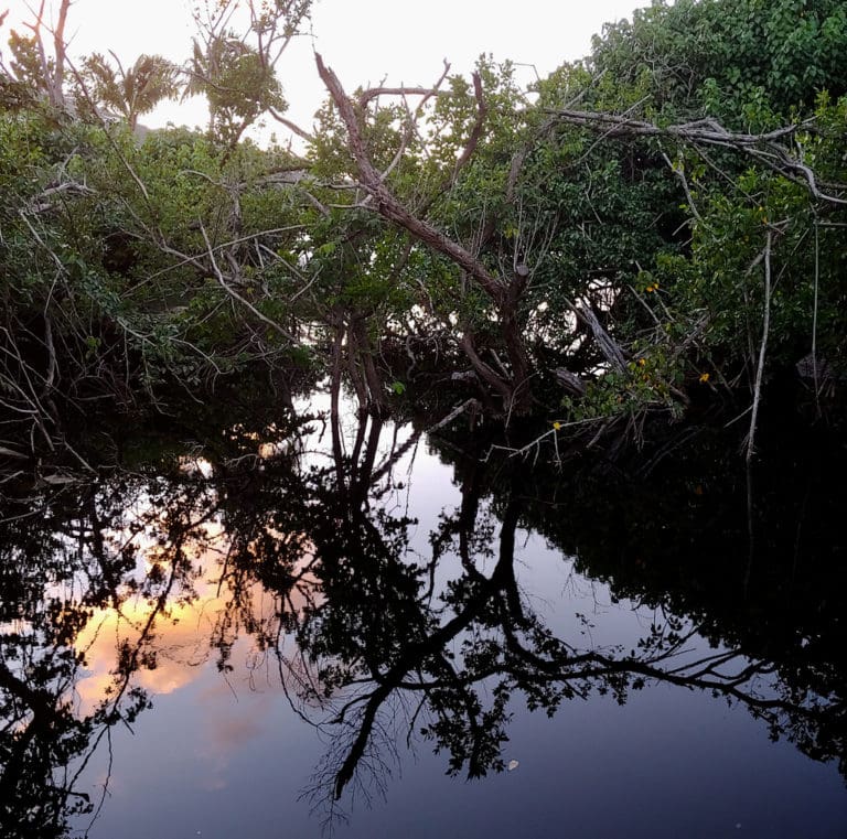 Deadline is Nov. 15 for Environmental Leadership Award Nominations