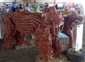 Eulalie Rivera Elementary first graders created a Senapol cow from plastic bottles.