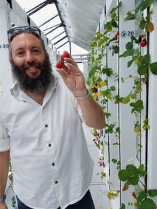 FarmPod founder Michael Straight shows off his fresh strawberries grown in the Santa Fe pod. (Photo provided by FarmPod)