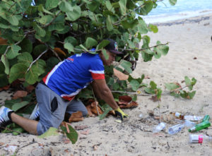 Wilfrido Ferreras, vice president of Dominicans in Action Committee, dig trash out from under a seagrape tree. Plastic bottles, beer bottle and foam food plates/containers were the predominant items found and removed in approximately 45 large bags of trash. (Linda Morland photo)