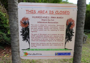 The Alphonso Nelthropp Arboretum is still off limits nearly two years after Hurricanes Irma and Maria (sap photo)