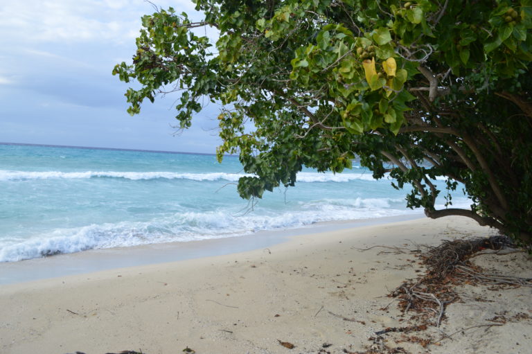 Man Drowns at Dorsch Beach