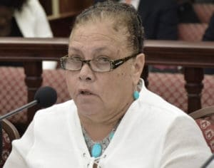 Assistant Education Commissioner Marie Encarnacion tells senators that metal batons send the wrong message to students. (Photo by Barry Leerdam, V.I. Legislature)