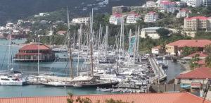 The yachts gathered at Yacht Haven form a forest of masts. (Photo by Walter Bostwick)