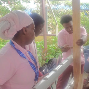 Agriculture students at Ivanna Eudora Kean High School construct a hydroponic crop system for their exam. Their instructor says the class gives an example of the wide world of agriculture beyond farming. (Photo submitted by Vincent Henley, Kean High)