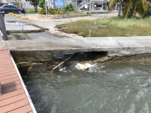 Drainage pipes near where the Christiansted boardwalk meets the seaplane terminal cannot drain properly with such high levels of seawater intrusion. (Photo by Kelsey Nowakowski)