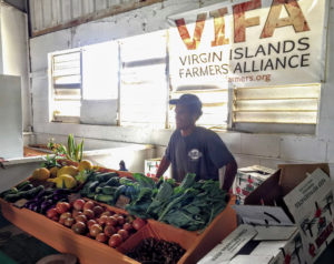 Allen Stewart volunteers at the VIFA booth during Agrifest 2020. (Photo submitted by VIFA President Nate Olive)