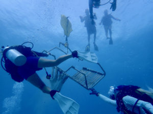 Divers use lift bags to raise heavy debris from the sea floor to the surface. which were then carried by divers to the boat. (Photo submitted by Howard Forbes Jr.)
