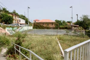 Savan Playground and Park has been left unmaintained and is overgrown with weeds. (Source photo Bethaney Lee)