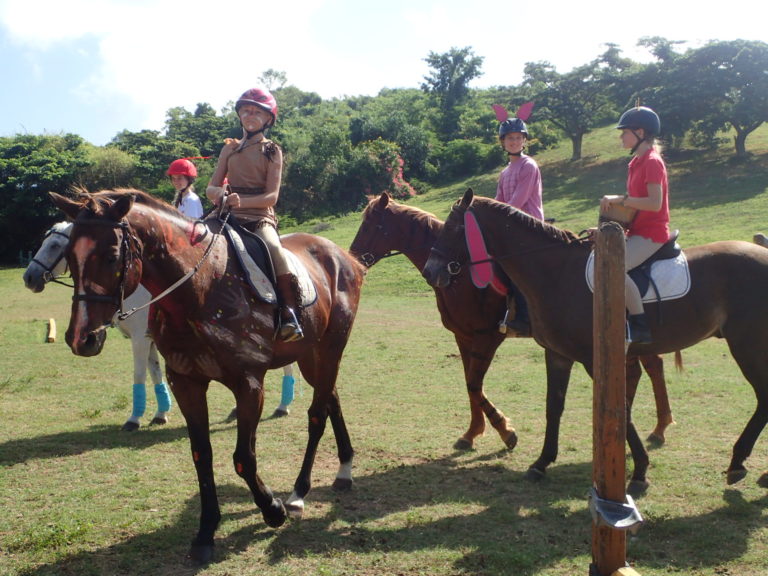 St. Croix Pony Club Continues to Educate Young Equestrians 50 Years Later