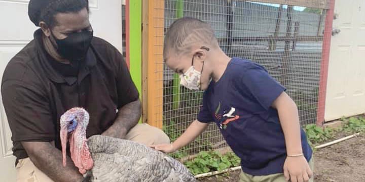 In Frederiksted, Jungle James Offers Learning in an Outdoor Setting