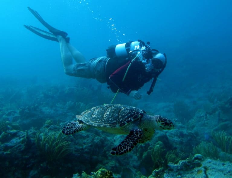 Fundamentals of “Marine Service Technology” Training Launches in St. Croix
