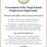 GVI-dir-GUN-VIOLENCE-prevention