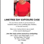Limetree-EXPOSURE-460×680