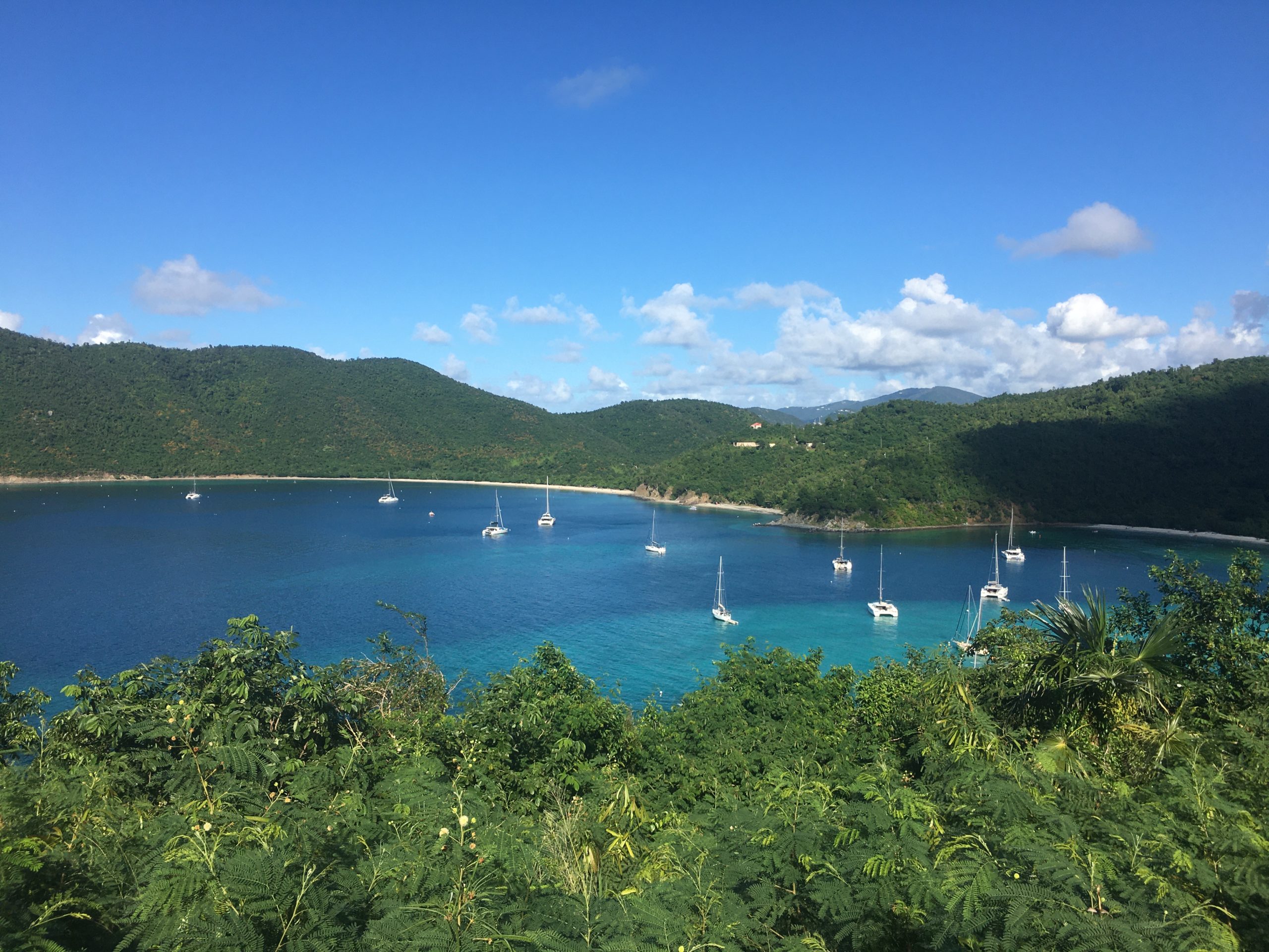 Territory Celebrates ‘Nicole Robin Day’ in the U.S. Virgin Islands | St ...