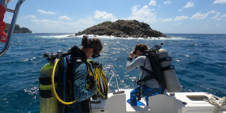 Scientists Bug STJ Coral Reefs
