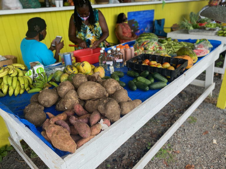Agriculture Plan Advocates for Island Food Security