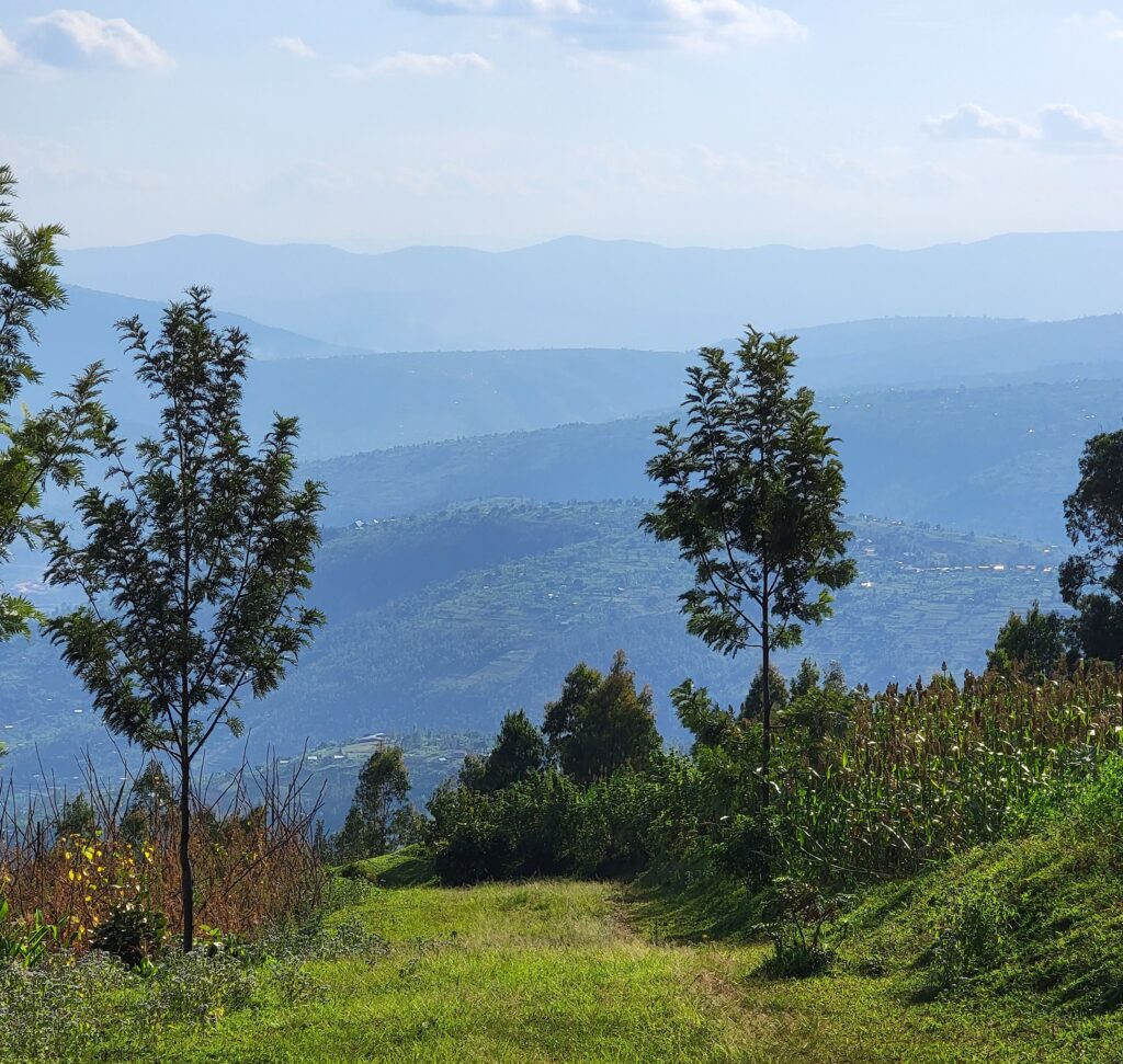 The Thousand Hills of Rwanda. (Source photo by Shaun Pennington)