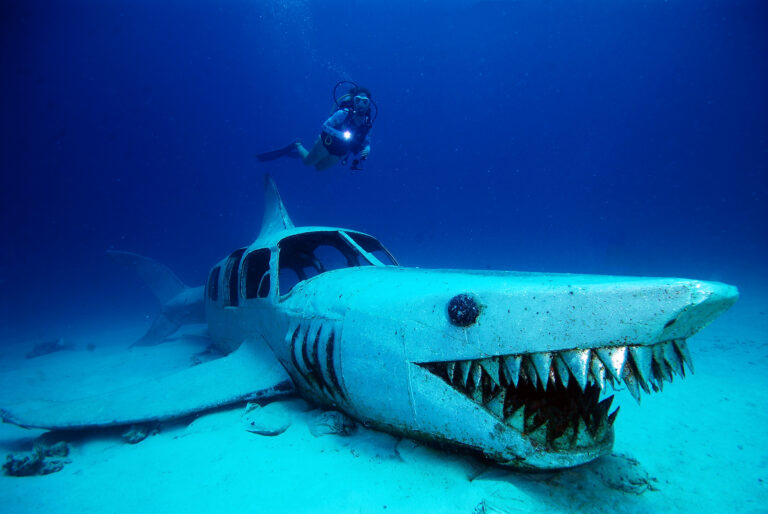 Dive in to BVI Wreck Week
