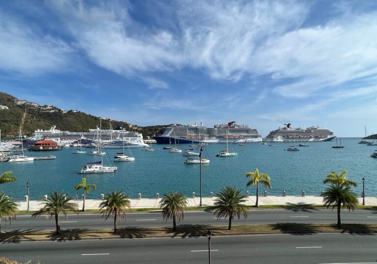 WICO Says March 16 Is Highest Cruise Passenger Arrival Day Since 2020