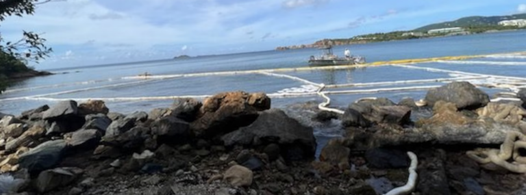 Coast Guard Investigating Oil Spill on Eastern Shore of Lindbergh Bay