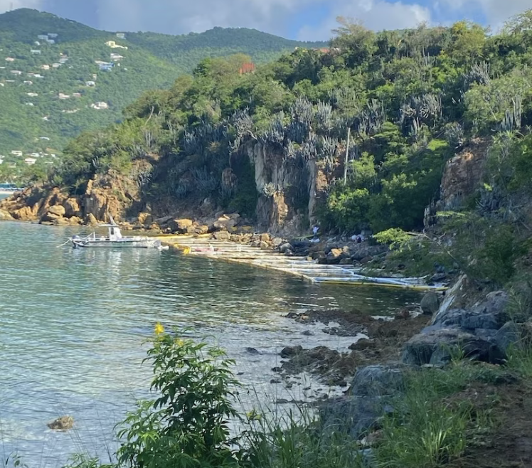 A containment and absorbent recovery boom can be seen along the eastern shore of Lindbergh Bay on St. Thomas after oil was found in the water. (Coast Guard photo)
