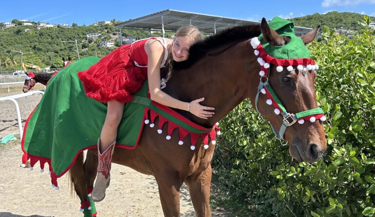 Triple H Ranch Hosting Christmas Eve Fundraiser for Horse Rescue Mission